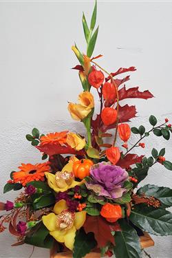 Autumn Cheer
