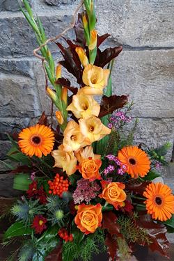 Autumn Glow