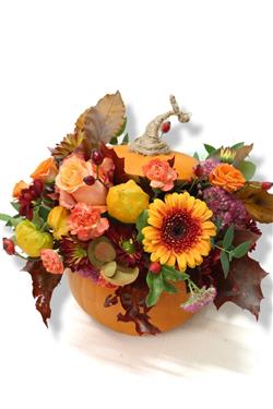 Pumpkin arrangement