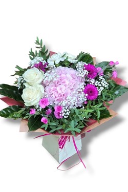 Lovely Hydrangea 